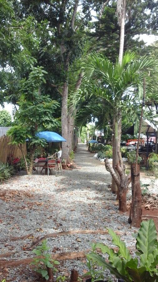 Larmar Bed And Breakfast Puerto Princesa Room photo